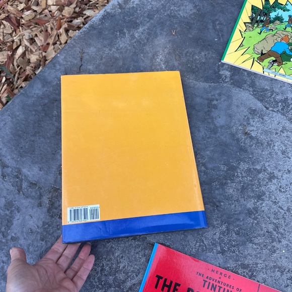 The Adventures of TINTIN - Picture 4 of 8